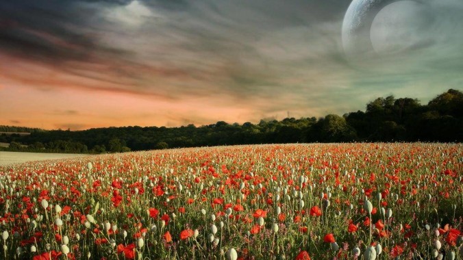 如何评价《灵笼 2》第六集?